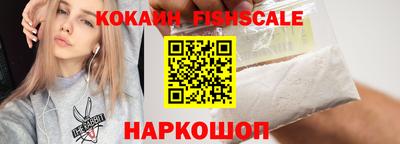 гидра Заводоуковск