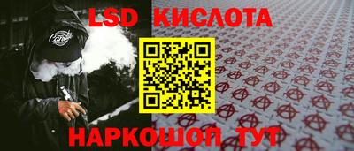 гидра Заводоуковск