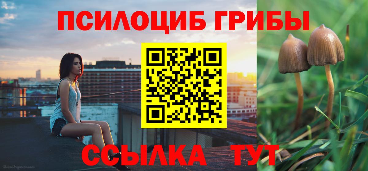Псилоцибиновые грибы мухоморы  Вход с VPN  Волхов 